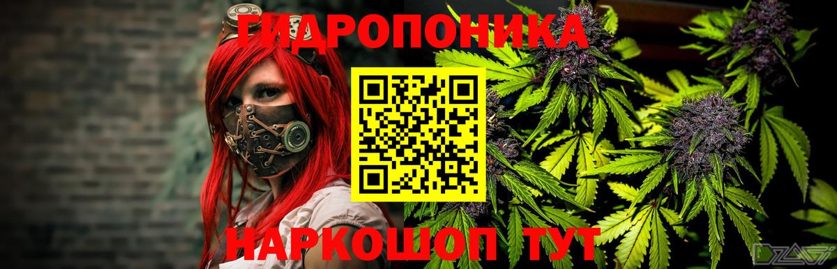 Бошки марихуана планчик  Бошки Шишки White Widow  Шишки марихуана гибрид  Вход с VPN  Урай 